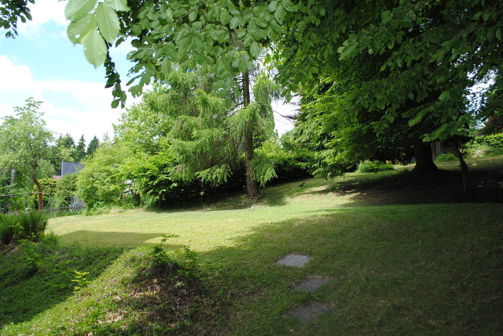 Panorama Hotel Pension Frohnau Bad Sachsa Kamer foto